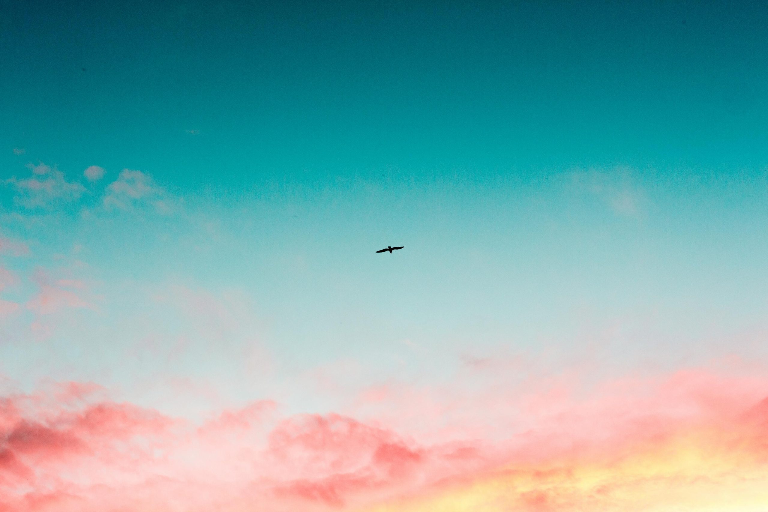 Unlocking Africa’s Potential: Introducing Vertechs Investment Holdings